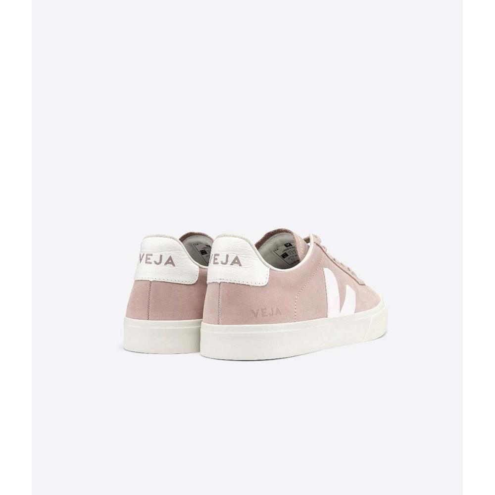 Veja CAMPO NUBUCK Low Tops Sneakers Dames Roze | NL 599SGL